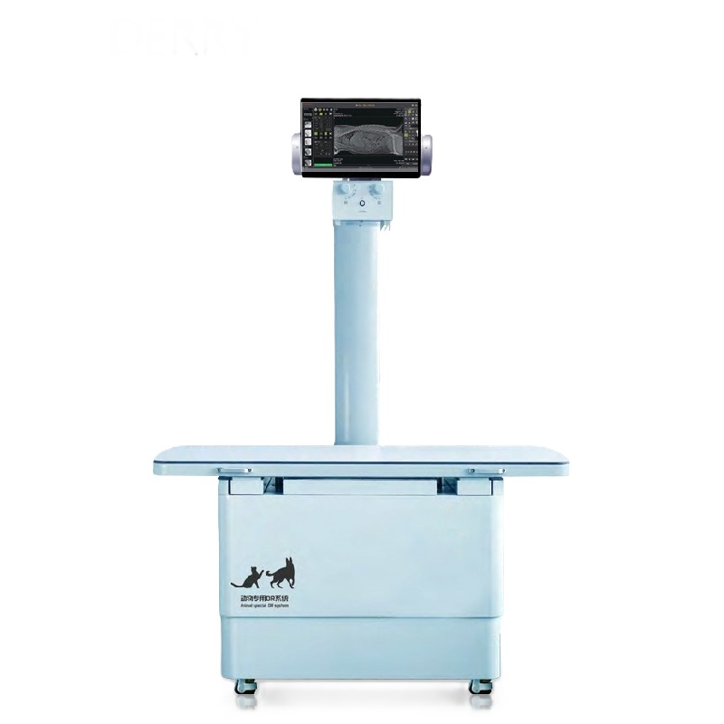 X5&X6 Dynamic Digital X-ray Imaging System