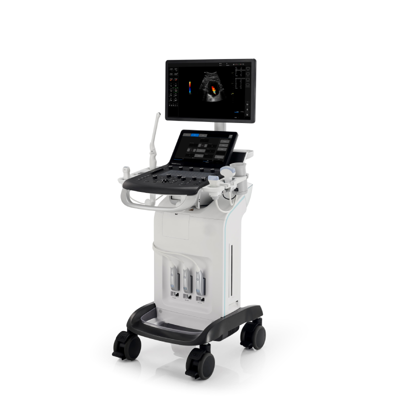 Ultrasound Practical Whole - Body Machine