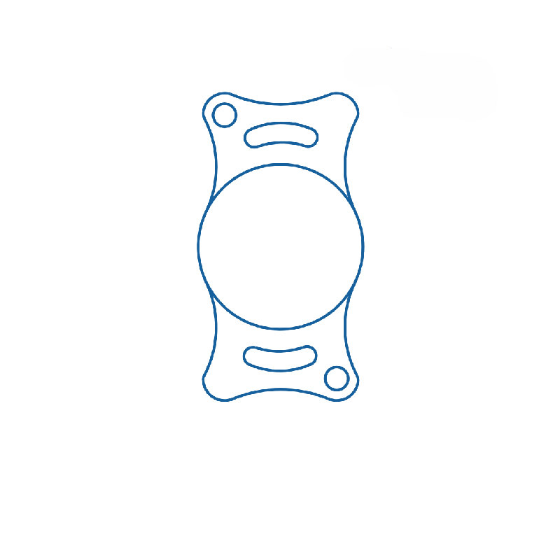 Feline Intraocular Lens