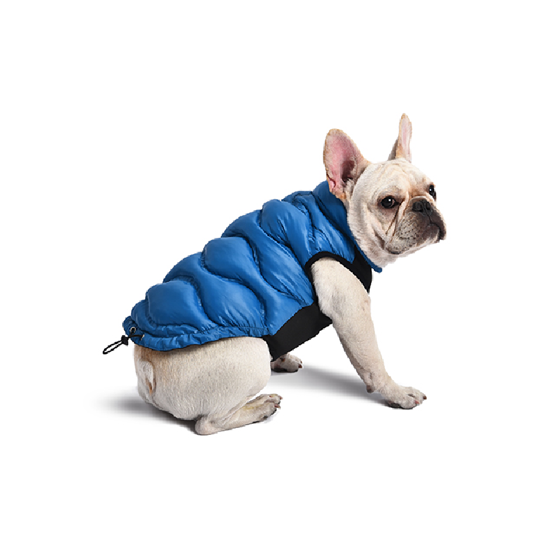 Quilting dog coat