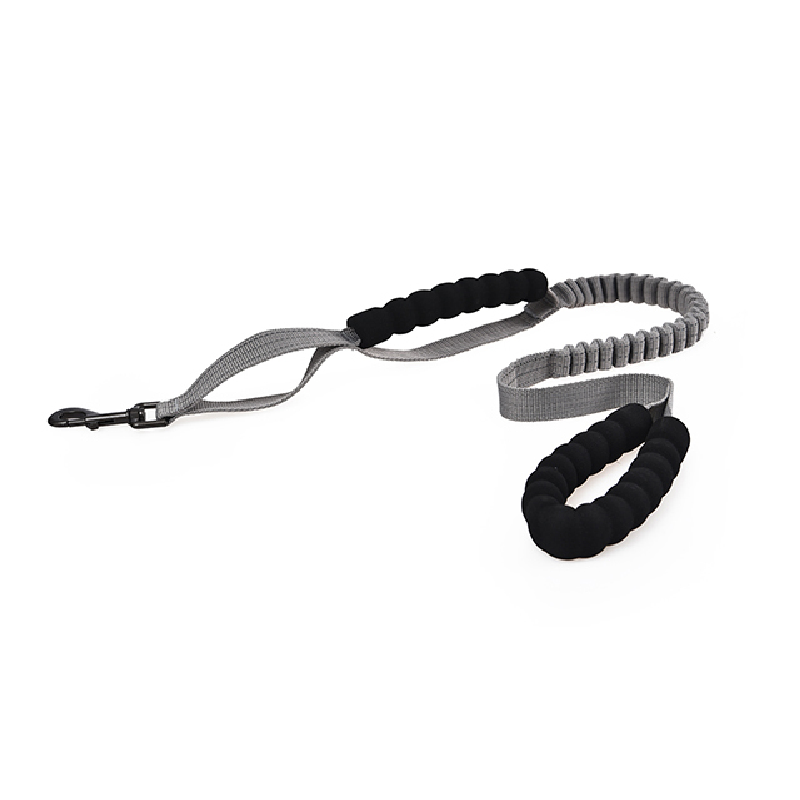 Extension dog leash