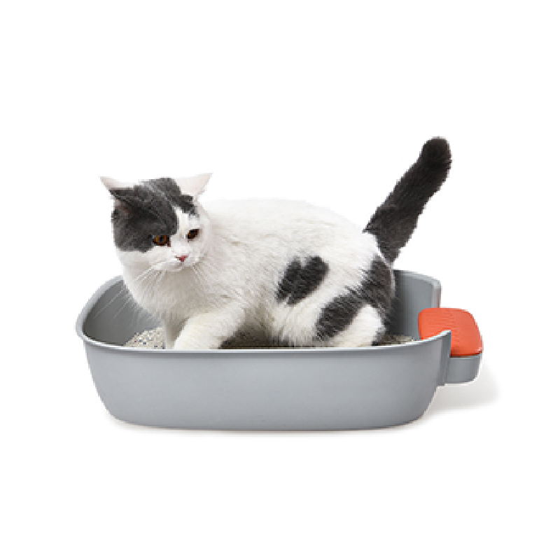 Open top cat litter box