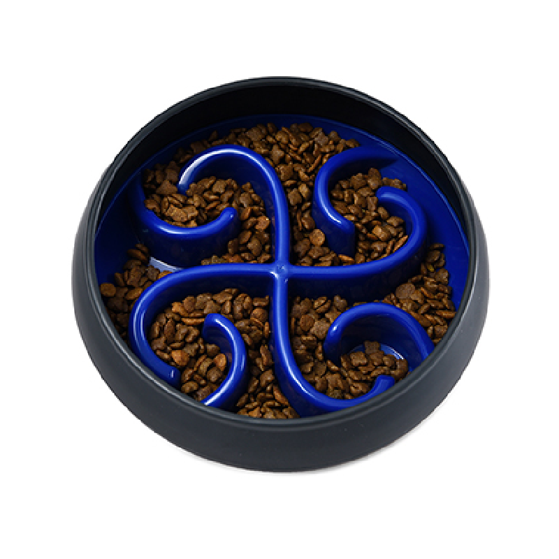 Pet slow-feeding bowl