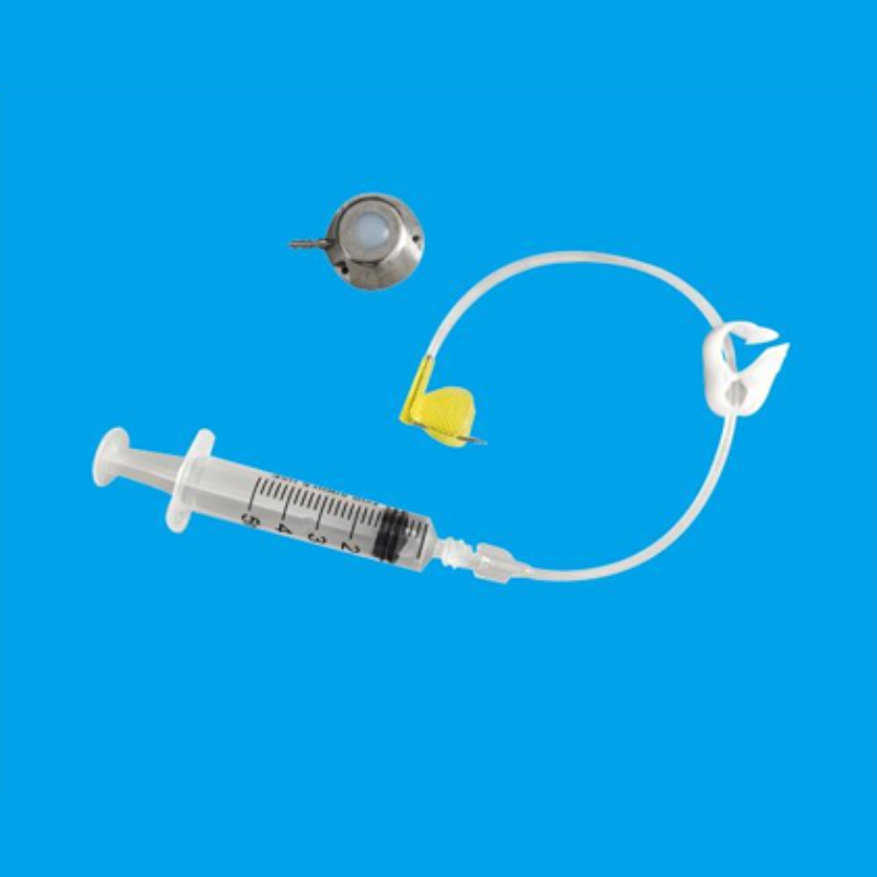 Implantable Port