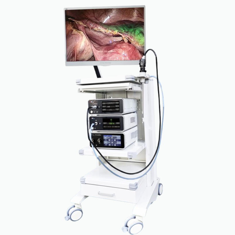 DE551 Wireless Veterinary Video Otoscope
