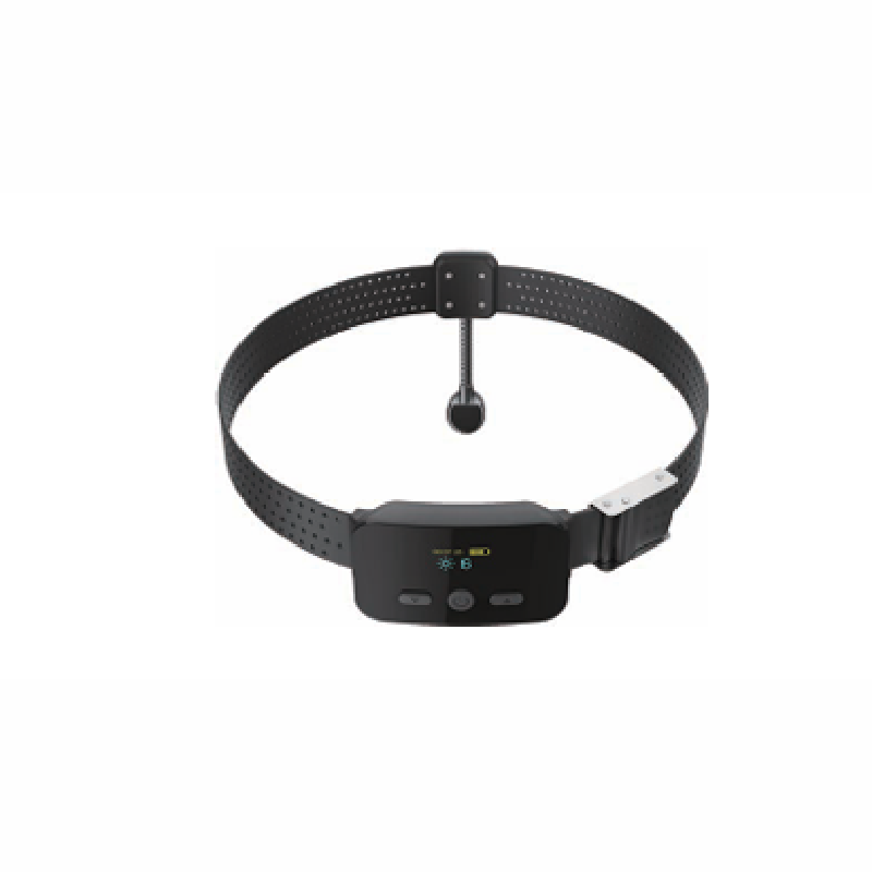 Surgical Headlamp